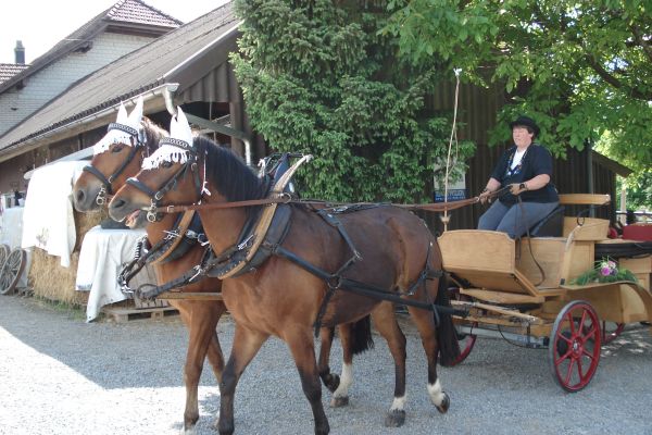Wirtshaus Rütihof (Garni) (Gränichen)